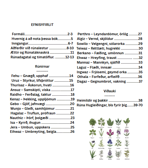 Myndskreytt E-bók á Íslensku Nordic Elder Fúþark Rúnirnar Leiðbeiningar