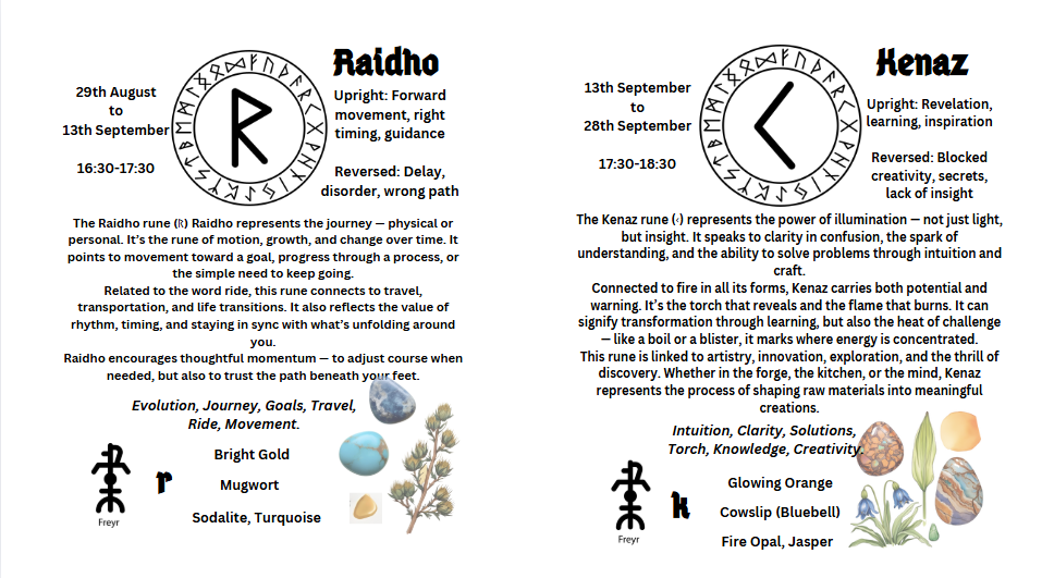 Illustrated Guide to the Nordic Runes Icelandic & English - Custom Cover - Wire-O brochure - Silk paper