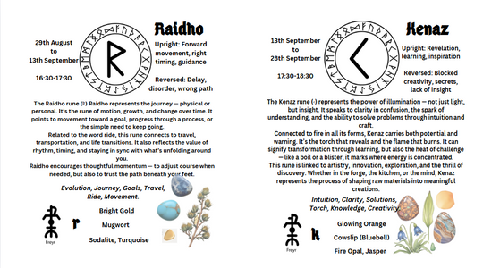 Illustrated Guide to the Nordic Runes Icelandic & English - Custom Cover - Wire-O brochure - Silk paper